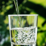 water contaminants florida