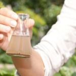 water testing analysis
