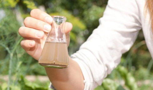 water testing analysis