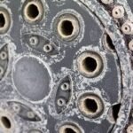 hard water
